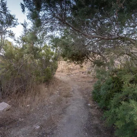 A One Of A Kind Bus With Gorgeous Views * Надур