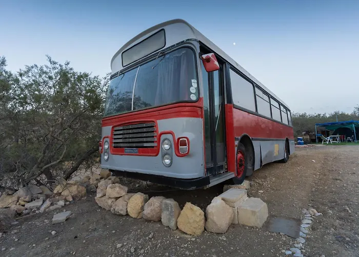 אתר קמפינג A One Of A Kind Bus With Gorgeous Views