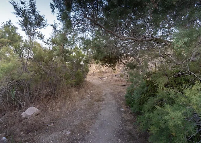 A One Of A Kind Bus With Gorgeous Views * Nadur